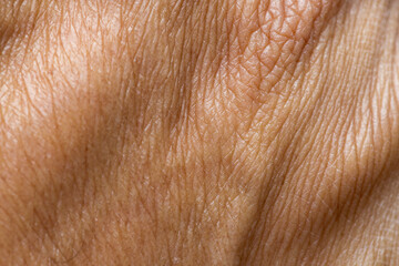 Naklejka premium Macro Detail of Human Skin Texture and Veins on Back of Hand,Extreme close-up shot showing the intricate details of human skin texture, pores, and visible veins on the back of an adult's hand.