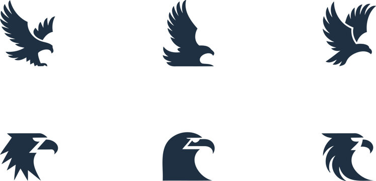 Collection of various eagle silhouettes in different poses and views flying heads  birds