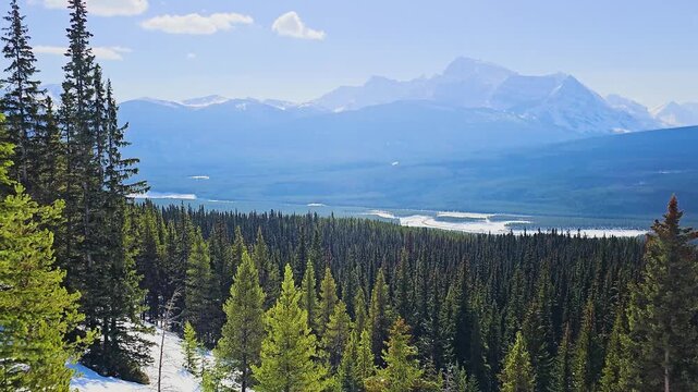 Jasper National Park style mountain view overlooks dense evergreen forest and winding river channels, with snowy peaks and vast wilderness creating a striking Canadian landscape.