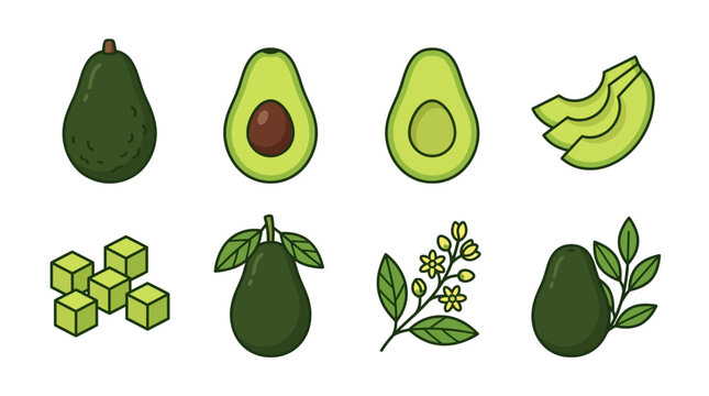 Set of various fresh avocado icons showing whole fruits halves slices cubes leaves and blossoms in a simple flat style