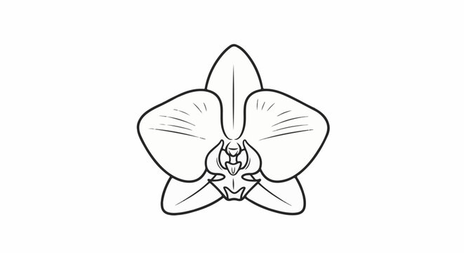 Line art drawing of a delicate orchid flower against a white background