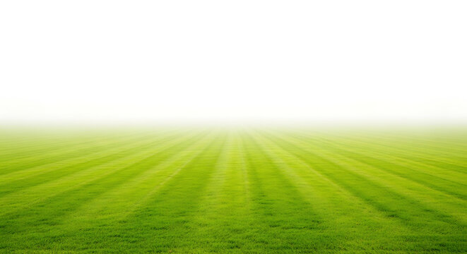 Green grass field with mowed stripes fading into white background football springtime abstract landscape environment