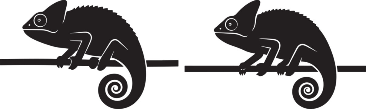 Two black chameleon silhouettes perched on a branch distinct curling tails side view simple graphic illustration with curling tail eye turret chameleon wildlife tropical silhouette illustration