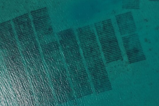 Aerial view of mozuku seaweed farming area in Okinawa Japan