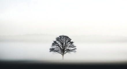 Obraz premium A lone tree standing in fog