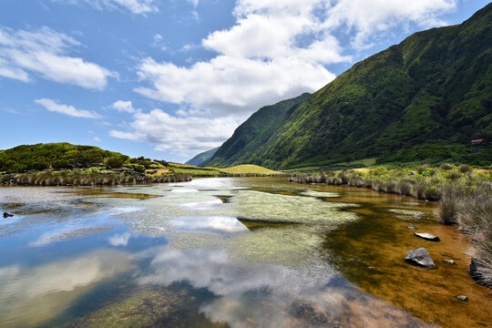 Natural salt lake on the coast, colorful hues on the surface, forested steep slopes near the village of Faja dos Cubres, Sao Jorge island, Azores