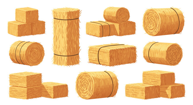 Collection of different hay bales including round, square, and stacked types used in farming and agriculture for livestock feed and storage.