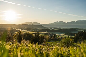 Fototapeta premium Sunrise over Allgaeu Alps near Fuessen: Idyllic Bavarian Landscape with Green Meadows, Spring Flowers and Misty Mountains in Golden Light, Germany - Rural Countryside Panorama for Travel Backgrounds