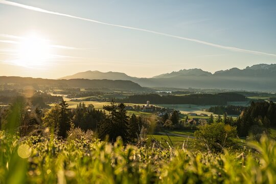 Sunrise over Allgaeu Alps near Fuessen: Idyllic Bavarian Landscape with Green Meadows, Spring Flowers and Misty Mountains in Golden Light, Germany - Rural Countryside Panorama for Travel Backgrounds