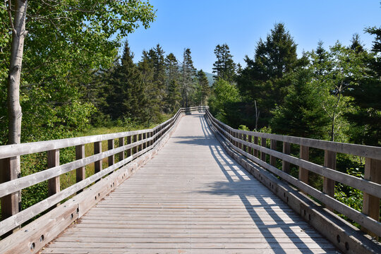 Chemin en bois de la Presqu'&icirc;le de Penouille