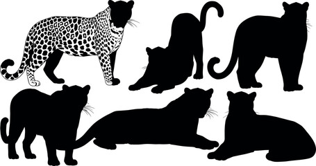 Leopard and Big Cat Silhouette Collection Vector Icons Set for Wildlife, Safari, Nature, and Animal Design Concepts © MstTazmina