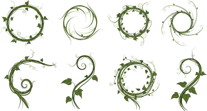 Decorative Green Vines and Leafy Swirls in Various Shapes and Forms, Perfect for Nature and Botanical Design Projects