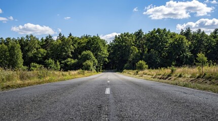Fototapeta premium Empty asphalt road stretching through a lush green forest under a sunny summer blue sky