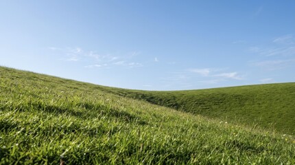 Obraz premium Rolling green grassy hills under a clear blue summer sky