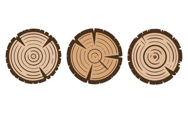 Stylized tree ring vector illustration with organic uneven shape and minimal clean line detail isolated on white.