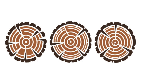 Tree trunk slice vector with abstract ring structure and organic asymmetrical contour isolated on white background.