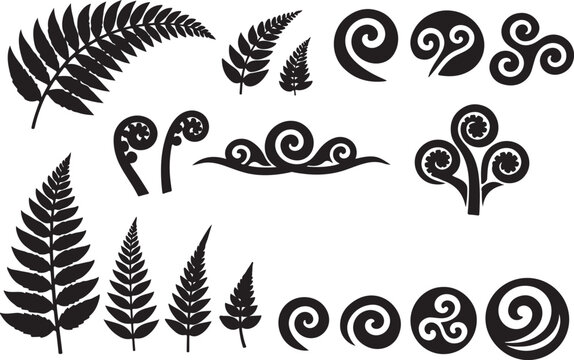 Fern leaves and koru spiral symbols
