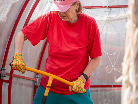 Woman gardener using manual cultivator in greenhouse. Senior lady working with soil tillage tool for agriculture. Cultivation, farming hobby and spring gardening activity concepts.