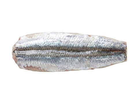 Fresh raw sardine fish on white background for food concept