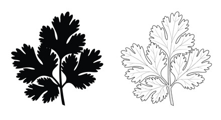 Cilantro leaf illustration black and white silhouette © Mdarif