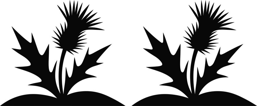 Two stylized black silhouettes of thistle plants growing from small hills.