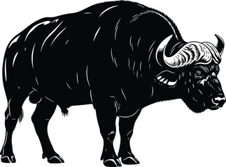 Obraz premium Black and white illustration of powerful buffalo standing in profile view with curved horns and muscular body on plain white background