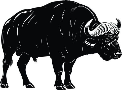 Black and white illustration of powerful buffalo standing in profile view with curved horns and muscular body on plain white background