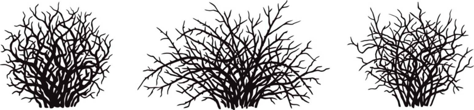 Title: Dead leafless shrub silhouettes set black bush and thicket icons flat vector
