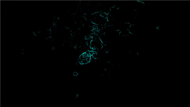 Abstract Vector glowing cyan fractals pattern in the dark with random fractal forms and vibrant colors against the black background.