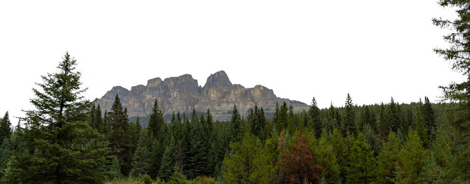 Vast green forest park with distant mountain range under a clear sky showcasing lush landscape, natural scenery, and peaceful outdoor wilderness.