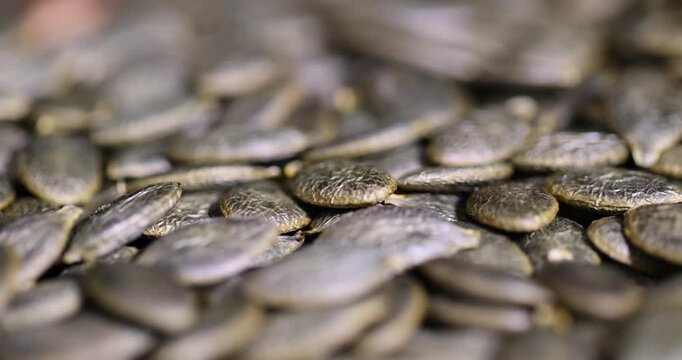 peeled large green and dried pumpkin seeds scattered on the table, a large number of pumpkin seeds dried and ready for subsequent cooking