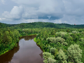 Obraz premium A river with a green forest on either side. The sky is cloudy and the mood of the image is peaceful and serene. Aerial view, Summer season. Travel and tourism.