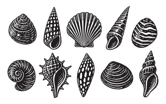 Lino illustration beach for linocut vector sea and ocean shell design. Silhouette isolated stamp for water summer lino and marine set monochrome. Lino print wave for linocut icon illustration