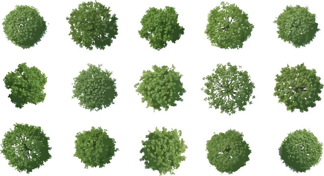 Tree plan vector set featuring green deciduous trees in top view perspective with realistic shadows for architectural site planning layout.