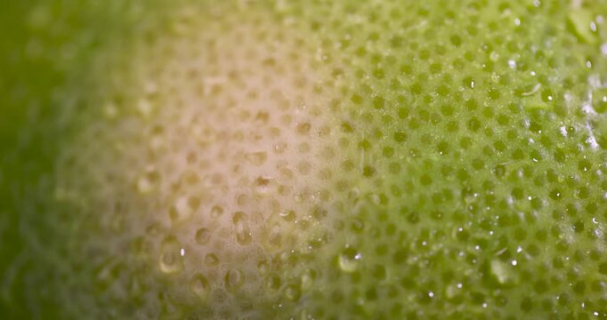 a wet yellow-green grapefruit on the table, one large grapefruit with a peel of different colors is covered with drops of clear water, pomelo fruit