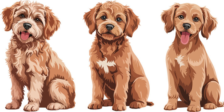 Set of three cute brown fluffy puppies sitting side by side vector illustration of adorable poodle mix dogs