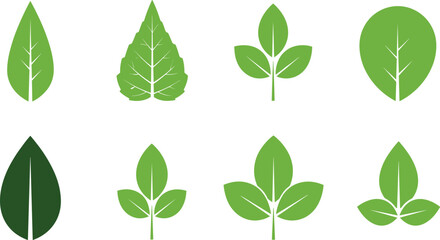 Fototapeta premium Green Leaf Icon Set with Simple Botanical Plant Symbols Nature Foliage Elements for Eco Friendly Design Organic Branding and Environmental Projects.