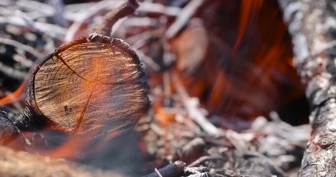 branches and logs burning in a barbecue campfire in the park, the details of the branches, some of which are burned and covered with coals, orange flames on the branches and logs, night time
