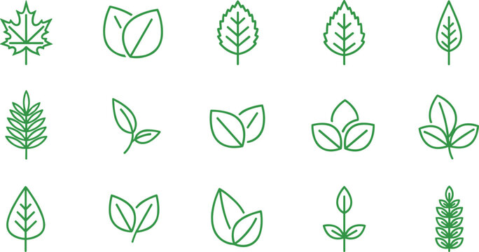 Leaf and Pine Tree Vector Set Featuring Various Leaf Shapes and Organic Designs for Digital Design.