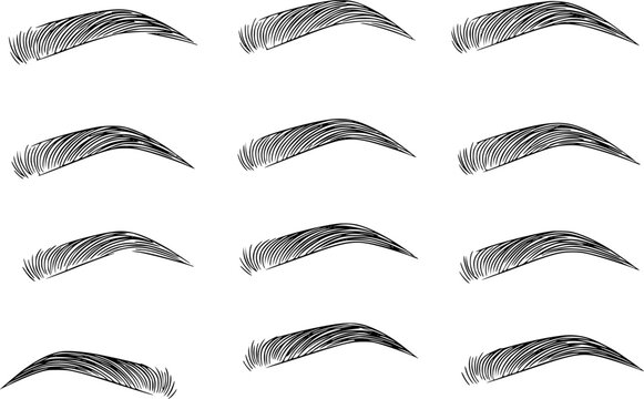 Collection of hand-drawn eyebrow with detailed strokes white background eyebrows