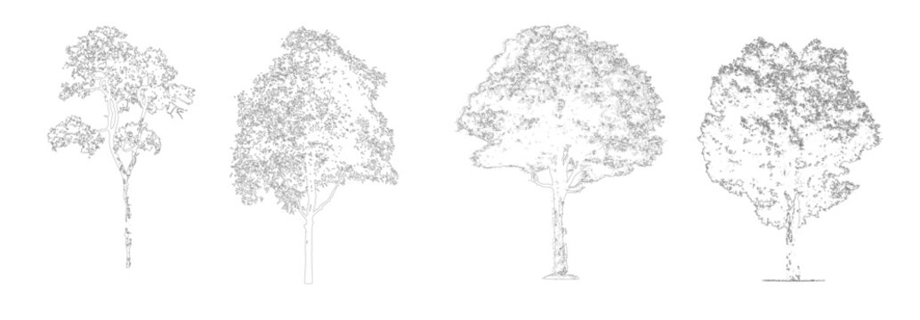 Vector Tree Collection Elevation View, Architectural Landscape Trees, CAD AutoCAD Drawing Set