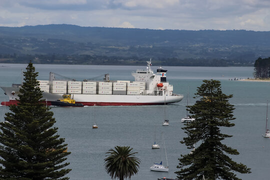 Mount Maunganui, New Zealand - Mar 8, 2026: A specialized Fresh Carriers reefer ship leaving with Zespri brand kiwifruit for global export. Editorial Use Only.