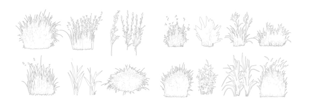 Vector Tree Pack Plan and Elevation View, Architectural Landscape Trees, CAD Drawing Elements