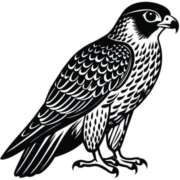 Egole, vintage, vector EGOL BIRD LOGO adobe illustrator vector file. Egol modern logo design and abstract logo. Ai generate
