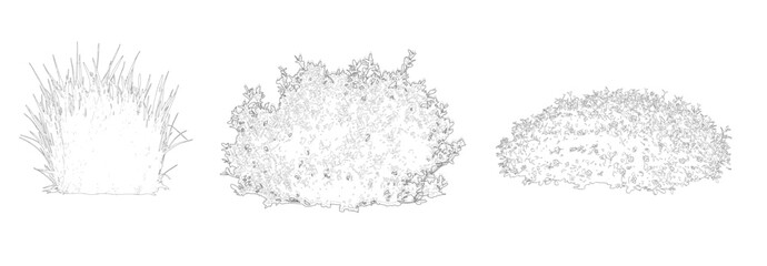 Naklejka premium Trees Vector Set Elevation View, Architectural Trees for Landscape Drawings