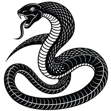 Mystic set of snakes silhouette. Snake wrapped around the crescent moon. Boho modern hand drawn design elements for logo and branding.