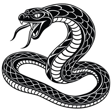 Mystic set of snakes silhouette. Snake wrapped around the crescent moon. Boho modern hand drawn design elements for logo and branding.