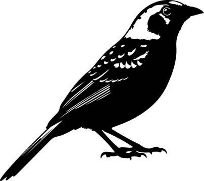 Bowerbird silhouette vector illustration