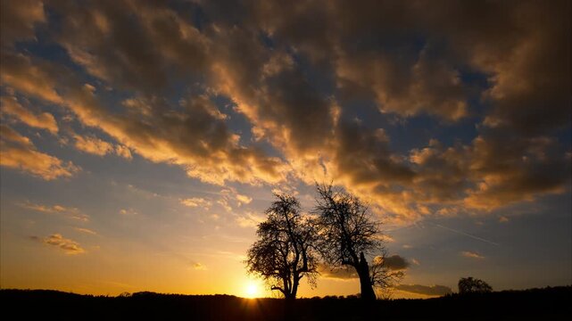 Timelapse of a magnificent tranquil sunset with beautiful orange clouds in the dramatic sky and silhouette of two trees on the horizon