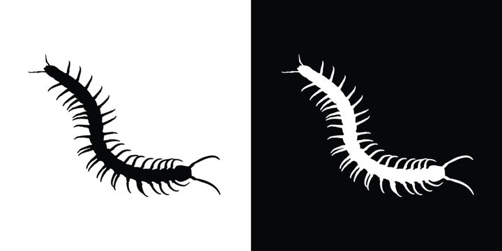 Centipede silhouette vector, crawling insect bug black vector, centipede icon